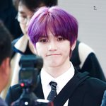 [이태용] <b>포도</b>머리 또 해죠