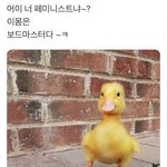 트위터 공구 <b>배송</b>비 보통 얼마냐