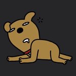 [펜타곤] 신원이 봤다 얘들아