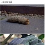 [댓글부탁해] <b>술집</b>에서 이런 남자 머ㅓ임???
