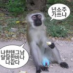 고양이 양털후리스에 꾹꾹<b>이함</b> 개귀여워