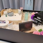 [세븐틴] 타팬인데