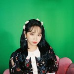 [모두드루와] 요즘 <b>채원</b>이는 뭐하나? 소식이 없어