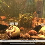 [NCT칠프] 이거 셋이 너무 <b>무해</b>해