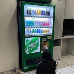[NCT칠프] 타<b>돌</b>인데 애들 이런 느낌나는 남친짤 없냐