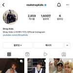 [스키즈] 인스타 <b>팔</b>로워 1600만!!