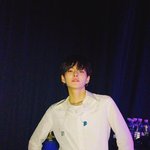 [트레저] <b>요시</b>
