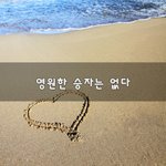 [너가봤으면] 영원한 승자는 없다~