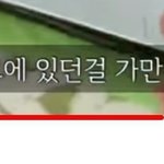[ㅈㄱㄴ] 맞춤법 계속 거슬리는 <b>브이</b>로그는 처음임
