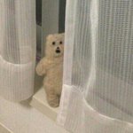 나 판 <b>소름</b><b>썰</b> 퍼간 액괴 애들? 본 거 같은데