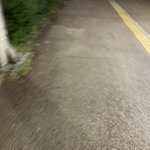 6시간 스카있다가 집간당