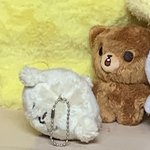 [NCT칠프] 우리집 치타리랑 곰도 <b>한판</b> 했나봄