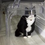 재수생이ㅛ니
