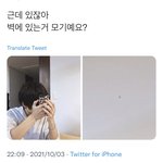 [NCT드림] ㅇ캐들아 드림 숙소 벽에 <b>모기</b>이거 봤냐