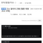자기 잘못을 반성할줄 모르는 펨코회원들