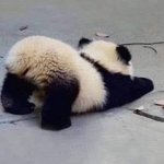 [드루와] 내 짝남 말투 좀 <b>아재</b>같아...