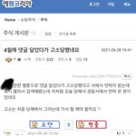 이정도 <b>수위</b>도 고소가 됨??