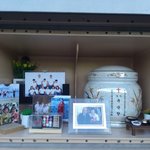 코로나 백신 부작용 피해