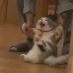 [NCT칠프] 리팩 좀 <b>기대중임</b>