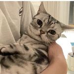 [크리스탈] 마왕<b>ver</b>.