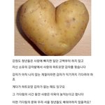 [댓글부탁해] 메가<b>커피</b> 머먹을까 추반좀