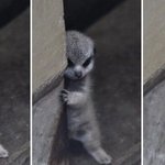 <b>야비</b>한 놈