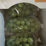마트에서 샤머스켓 한 <b>송이</b>를 사왔는디
