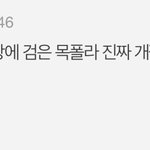 [펜타곤] 유니버스들아