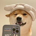 [이것좀봐줘] 중1 동생 <b>가방</b>에서 담배 나왔어