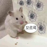 아 나 <b>기절</b>할 것 같아