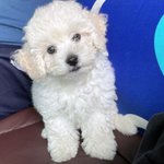 [스키즈] <b>이</b> 아강<b>잉</b> 뭐야 ㅠㅠㅠㅠ