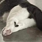 [19] 2년이 지난 지금까지도 생각나는 성폭행