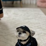 [더보이즈] 오늘 다<b>롱이</b> 사진 너무 귀엽지않았뉘