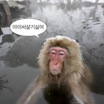 [드루와] 추반 해주면 살 존니 빠짐