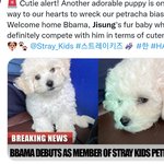 [스키즈] 와! 외테이들 주접도 대단하다(칭찬임)