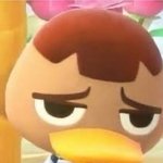 [더보이즈] 무조건 <b>학종</b>으로 가 정시하지마