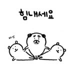 코가 참