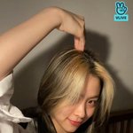 있지 류진 브이라이브 <b>캡쳐</b> 레전드다