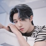 [세븐틴] ?????!!!!!