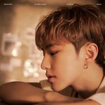 [세븐틴] 호시도