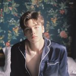 [세븐틴] 눈 떠보니 내가 로판소설 속 엑스트라?!