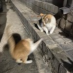 [댓글부탁해] <b>카카오</b>웹툰 추천좀
