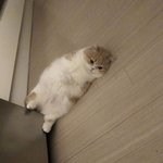 너넨 헛<b>소문</b> 났을 때 어떡해 ㅠㅠ?