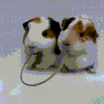 나 남미새라고 <b>소문</b>남