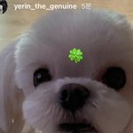 [드루와] 입시미술하는 애들아 쫄지마!!