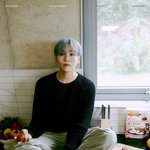 [세븐틴] <b>이</b>사진 웃긴<b>점</b>
