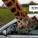 [모두드루와] <b>이번</b> 에스파 <b>앨범</b>