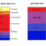 대학 팩트
