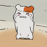 [댓글부탁해] 코 <b>재수술</b> 해야될듯해요