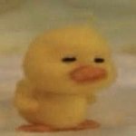 <b>esfp</b>들 짝사랑 특징 좀 말해줘!!!